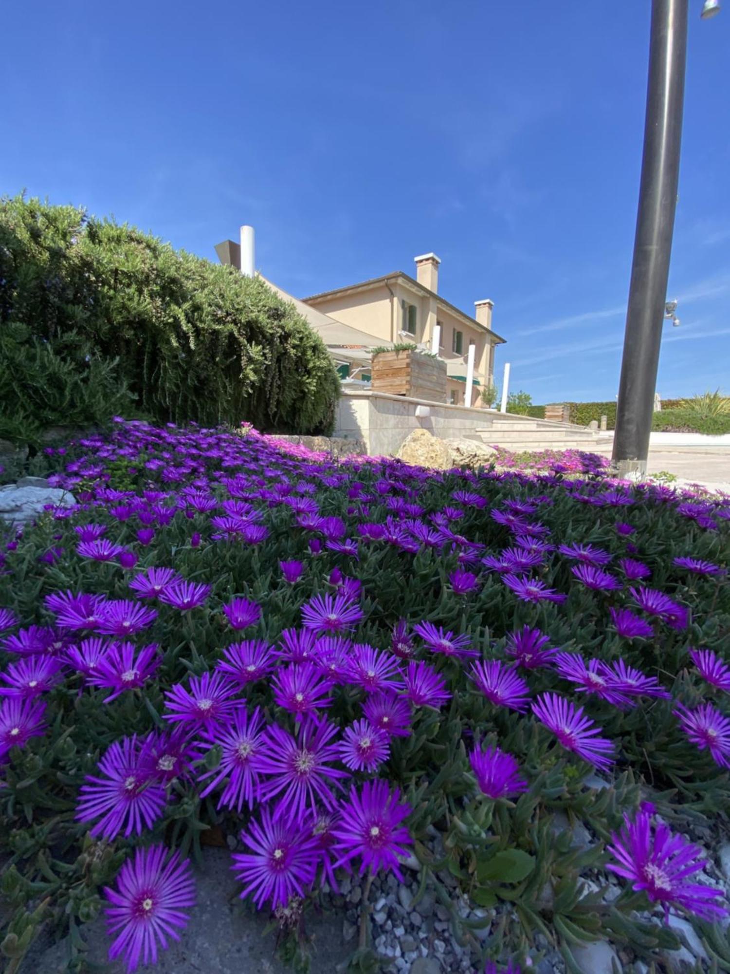 The Roses House Apartment San Pietro di Cavarzere Exterior photo