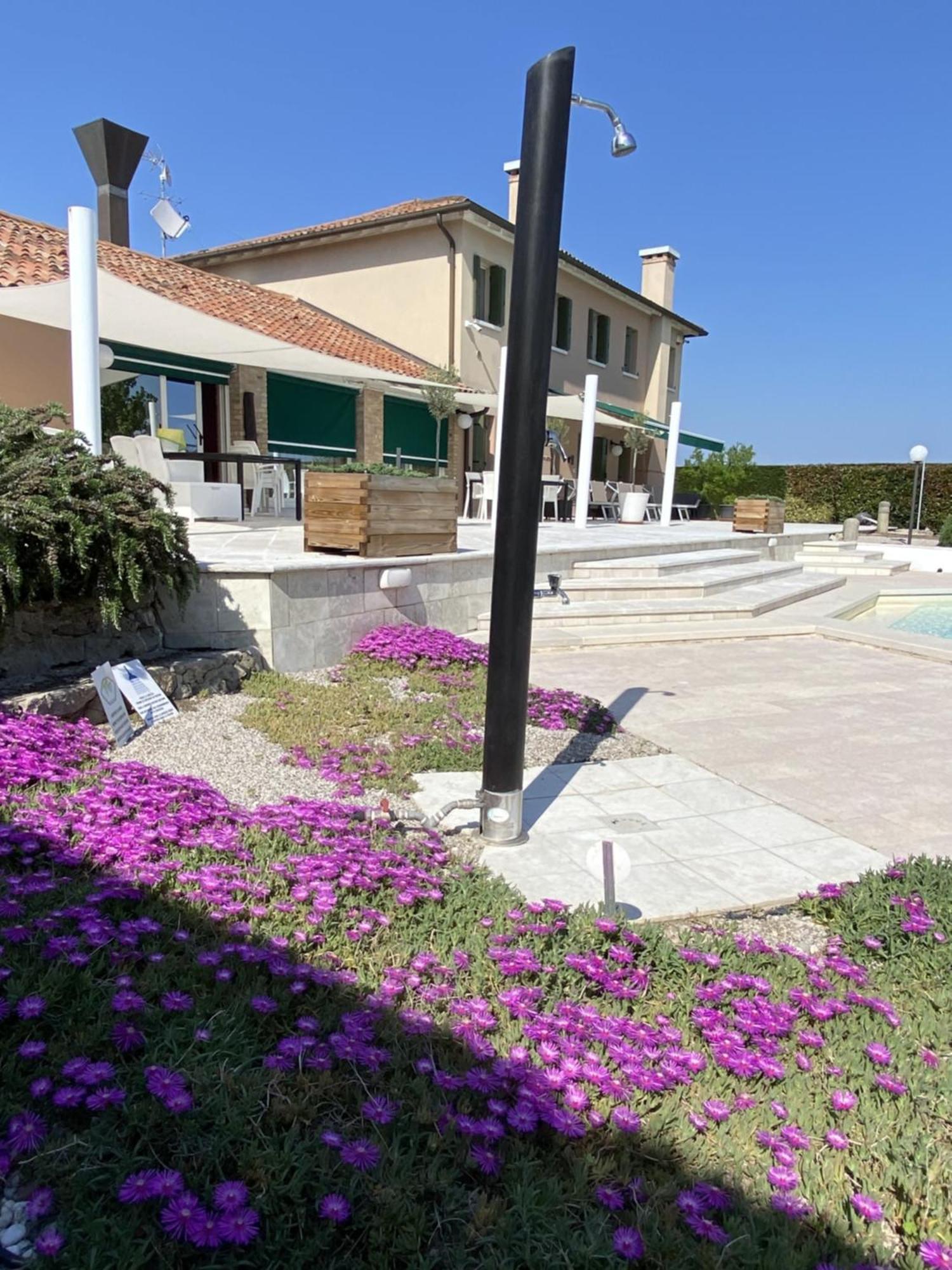 The Roses House Apartment San Pietro di Cavarzere Exterior photo